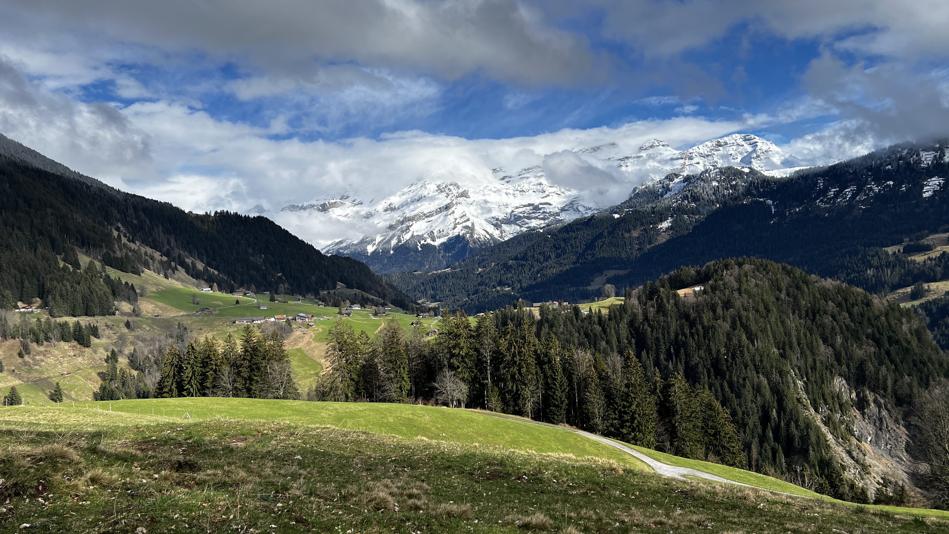 Plateau verdoyant et forêt de sapins face aux sommets enneigés des Alpes suisses - Bas les masques